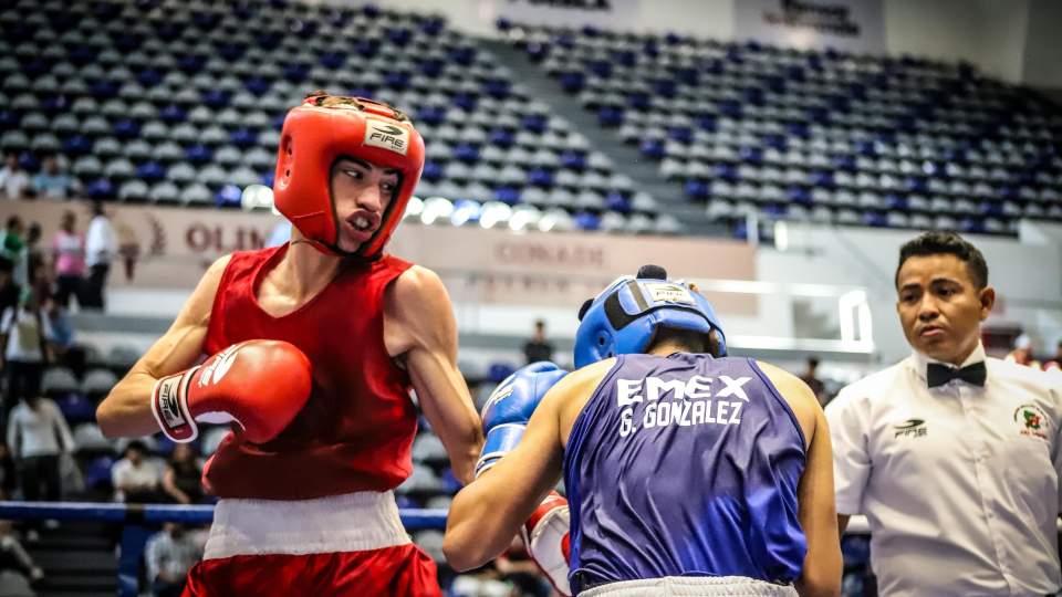 SONORA BUSCARÁ CUATRO MEDALLAS DE ORO EN LA OLIMPIADA NACIONAL DE BOXEO 